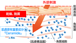 tw_makeup_base_features_02