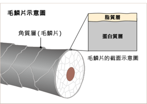 vol2_pic_01