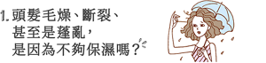 1. 頭髮毛燥、斷裂、 甚至是蓬亂, 是因為不夠保濕嗎?