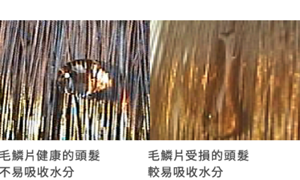 vol1_pic_01