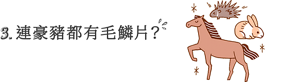 3. 連豪豬都有毛鱗片?