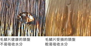 vol1_pic_01_sp