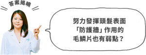 努力發揮頭髮表面 「防護牆」作用的 毛鱗片也有弱點?
