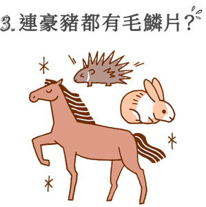 3. 連豪豬都有毛鱗片?