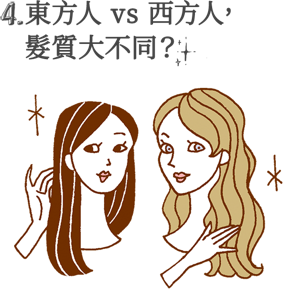 4. 東方人 vs 西方人, 髮質大不同?