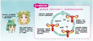 為什麼會有月經 當月經來潮,就表示女孩長大了,開始擁有創造生命的力量。在卵巢裡,大約一個月會成長一個能孕育嬰兒的卵子。子宮會準備一層厚厚軟軟的內膜,等待卵子著床。成熟的卵子會由卵巢跳出,並由輸卵管送向子宮。如果沒有受孕,這層又厚 又軟的保護牆,就會開始 剝落,從身體裡排出去, 這就是經血。月經形成時,腦部會同時發 出命令請<從頭再做準備>。