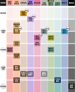 莉婕泡沫染髮劑Color Map