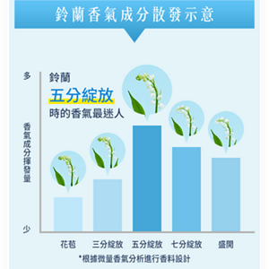 鈴蘭香氣成分散發示意