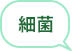 細菌