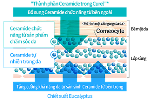 vn_2017_0307_sg_seramide_care_05
