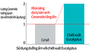 Sử dụng dưỡng ẩm với chiết xuất Eucalyptus
