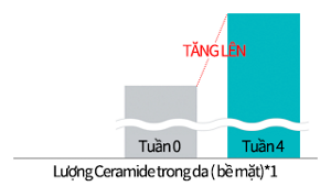 Lượng Ceramide trong da ( bề mặt)*1