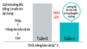 Chức năng bảo vệ da * 2