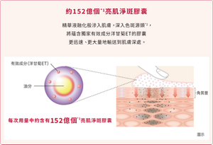 約152億個*1亮肌淨斑膠囊  精華液融化般滲入肌膚,深入色斑源頭*2, 將蘊含獨家有效成分洋甘菊ET的膠囊 更迅速、更大量地輸送到肌膚深處。