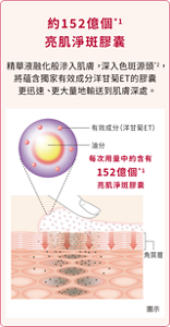約152億個*1亮肌淨斑膠囊  精華液融化般滲入肌膚,深入色斑源頭*2, 將蘊含獨家有效成分洋甘菊ET的膠囊 更迅速、更大量地輸送到肌膚深處。