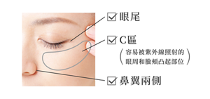 眼尾 C區 (容易被紫外線照射的 眼周和臉頰凸起部位) 鼻翼兩側