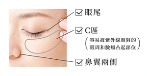 眼尾 C區 (容易被紫外線照射的 眼周和臉頰凸起部位) 鼻翼兩側