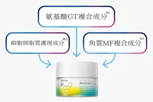 氨基酸GT複合成分*1 細胞間脂質護理成分*2 角質MF複合成分*3