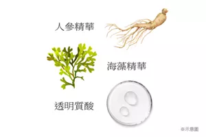 人參精華 海藻精華 透明質酸 ※示意圖