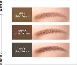 淺啡色 Light Brown 自然啡色 Natural Brown 灰啡色 Grey Brown