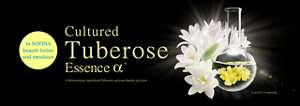 Cultured Tuberose Essence α