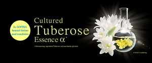 Cultured Tuberose Essence α