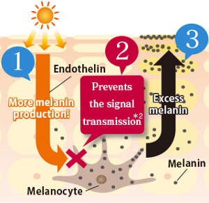 mechanism_img