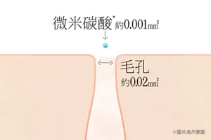 毛孔 約 0.02㎟ *圖片為示意圖