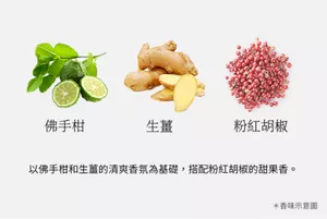 佛手柑 生薑 粉紅胡椒 以佛手柑和生薑的清爽香氛圍基礎,搭配粉紅胡椒的甜粿央。 *香味示意圖