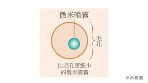 *示意圖