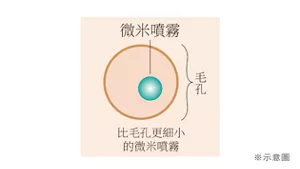 *示意圖