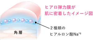 説明図:ヒアロ弾力膜が肌に密着したイメージ図
