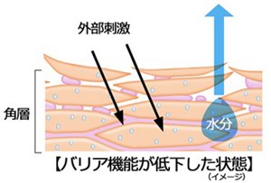 バリア機能が低下した状態(イメージ)