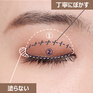 一重さんアイシャドウの塗り方(上まぶた)