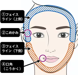 顔周り・口の画像