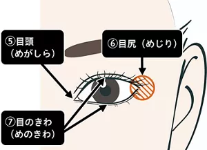目の画像