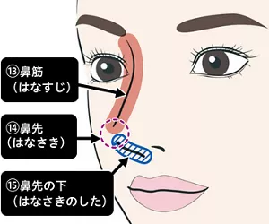 鼻の画像