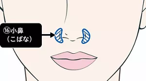 小鼻の画像