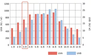 紫外線量の年間変動のグラフ