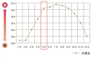 皮膚温の変化(肌測定器の表示値)のグラフ