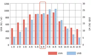 紫外線量の年間変動のグラフ