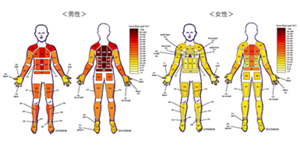 全身の発汗量を表した図。発汗量が少ないと黄色、発汗量が多いと赤色になっていき、一番濃い赤色は男女ともに背中。全体的に男性の方が女性よりも赤くなっている部位が多い。