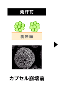 発汗前はカプセル状でニオイを分解