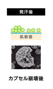 発汗後はカプセルが崩壊し、成分が肌の表面に広がりニオイを分解