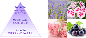 Top note:ラベンダー、ゼラニウム Middle note:カシス、ローズ Last note:アロマティック(ムスク)