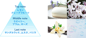 Top note レモン、グレープフルーツ Middle note ラズベリー、プラム、ローズ Last note サンダルウッド、ムスク、バニラ