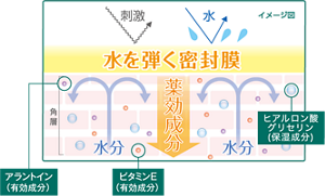水や刺激を弾く密封膜と角層イメージ。有効成分のアラントインとビタミンE、保湿成分のヒアルロン酸など薬用成分が角層へ浸透。