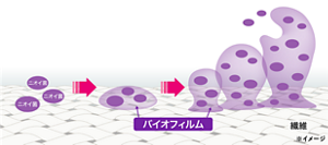 ニオイ菌→バイオフィルム→繊維