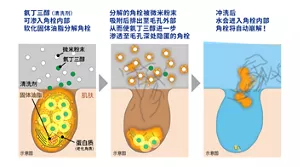 氨丁三醇(清洗剂)可渗入角栓内部软化固体油脂分解角栓→分解的角栓被微米粉末吸附后排出至毛孔外部从而使氨丁三醇进一步渗透至毛孔深处隐匿的角栓→冲洗后水会进入角栓内部角栓将自动崩解!