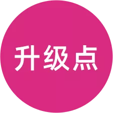 升级点